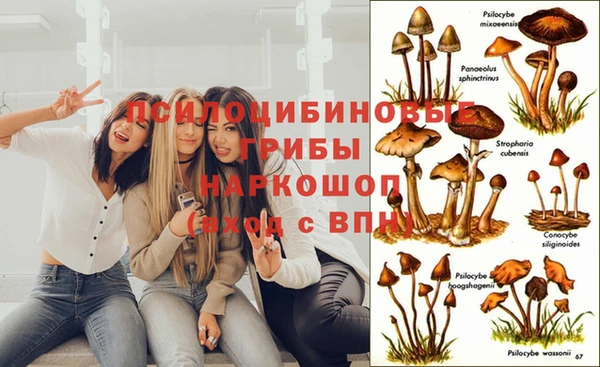 мдпв Верхнеуральск
